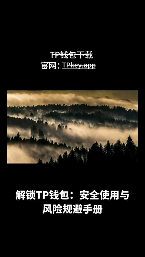 TP钱包官网软件安装常见误区及避免安全风险的方法
